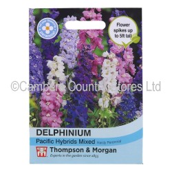 Thompson & Morgan Delphinium Pacific Hybrid Mixed